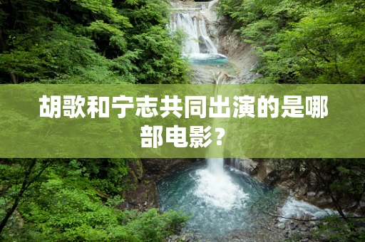 胡歌和宁志共同出演的是哪部电影？