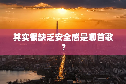 其实很缺乏安全感是哪首歌？