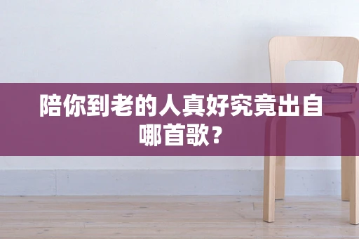 陪你到老的人真好究竟出自哪首歌？