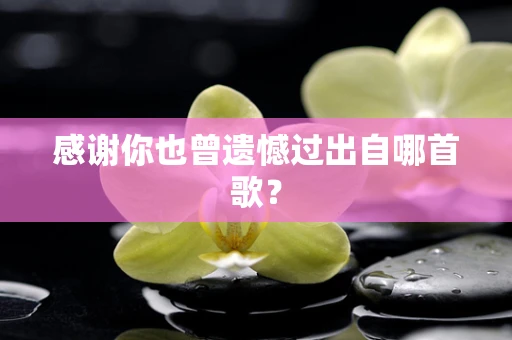 感谢你也曾遗憾过出自哪首歌？