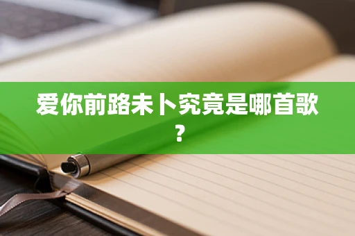 爱你前路未卜究竟是哪首歌？