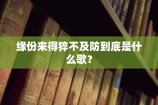 缘份来得猝不及防到底是什么歌？