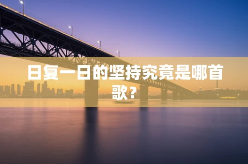 日复一日的坚持究竟是哪首歌？