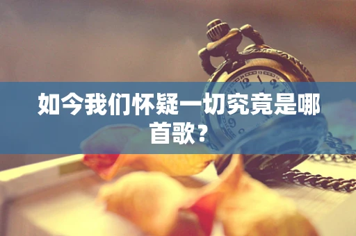如今我们怀疑一切究竟是哪首歌？