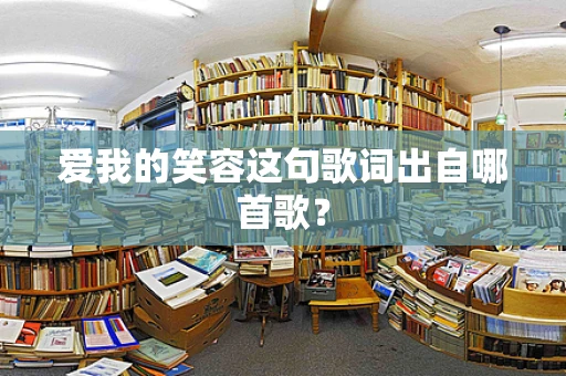 爱我的笑容这句歌词出自哪首歌？