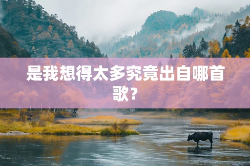 是我想得太多究竟出自哪首歌？