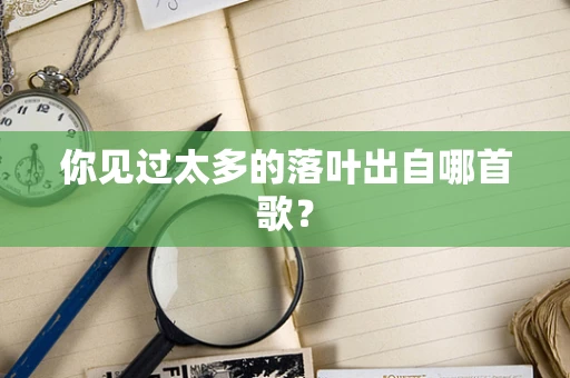 你见过太多的落叶出自哪首歌？