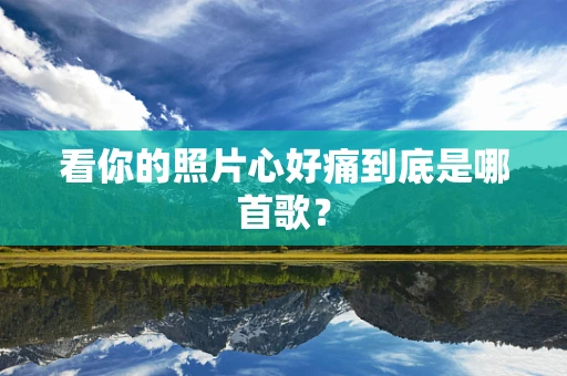 看你的照片心好痛到底是哪首歌？