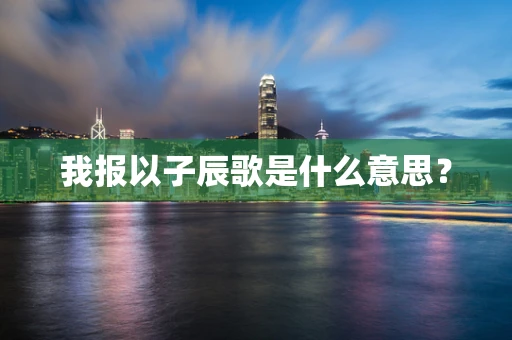 我报以子辰歌是什么意思？