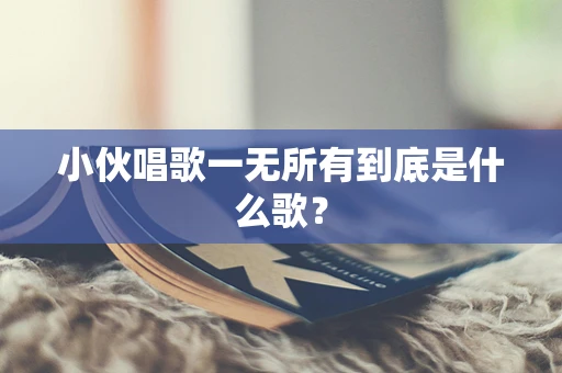 小伙唱歌一无所有到底是什么歌？