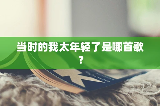 当时的我太年轻了是哪首歌？