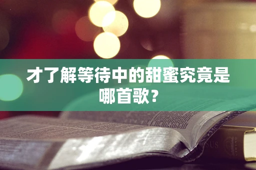 才了解等待中的甜蜜究竟是哪首歌？