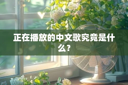 正在播放的中文歌究竟是什么？