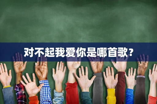 对不起我爱你是哪首歌？