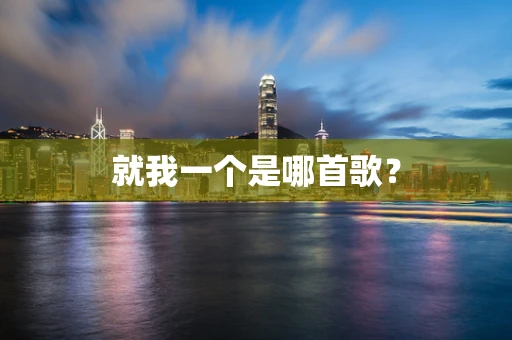 就我一个是哪首歌？