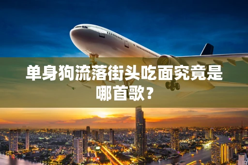 单身狗流落街头吃面究竟是哪首歌？