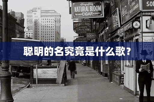 聪明的名究竟是什么歌？