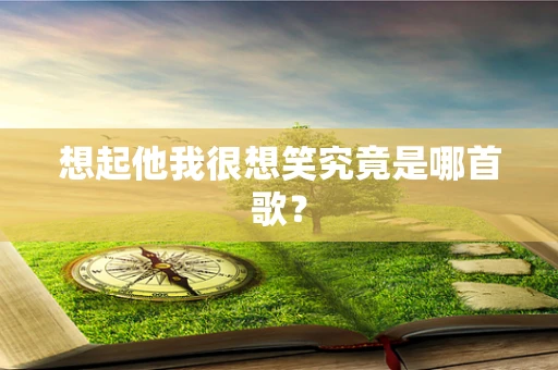 想起他我很想笑究竟是哪首歌？
