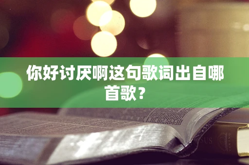 你好讨厌啊这句歌词出自哪首歌？