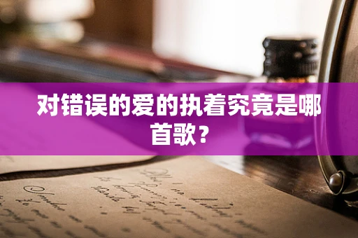 对错误的爱的执着究竟是哪首歌？