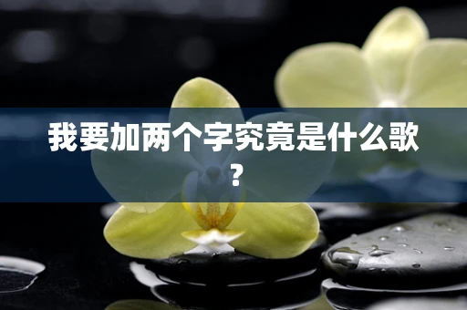 我要加两个字究竟是什么歌？