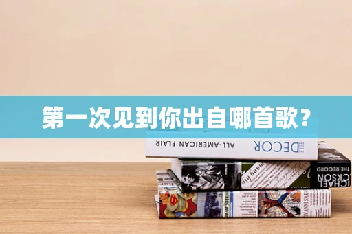 第一次见到你出自哪首歌？