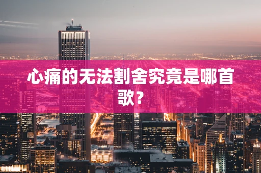 心痛的无法割舍究竟是哪首歌？