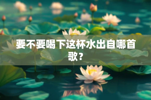 要不要喝下这杯水出自哪首歌？