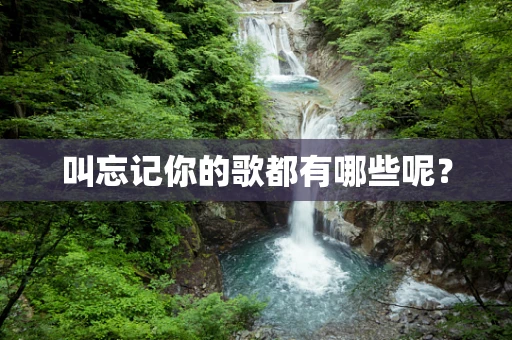 叫忘记你的歌都有哪些呢？