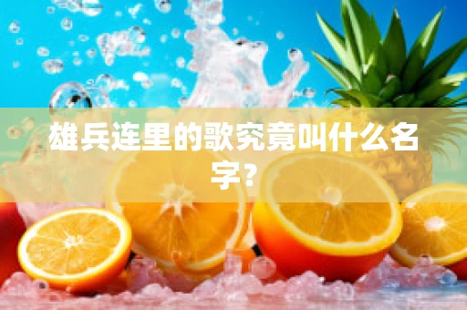 雄兵连里的歌究竟叫什么名字？