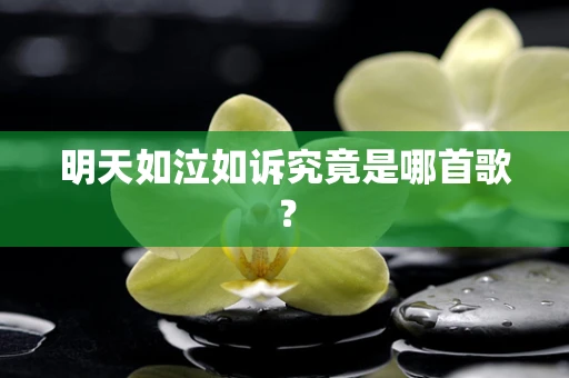 明天如泣如诉究竟是哪首歌？