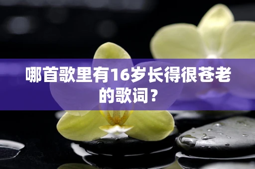 哪首歌里有16岁长得很苍老的歌词？