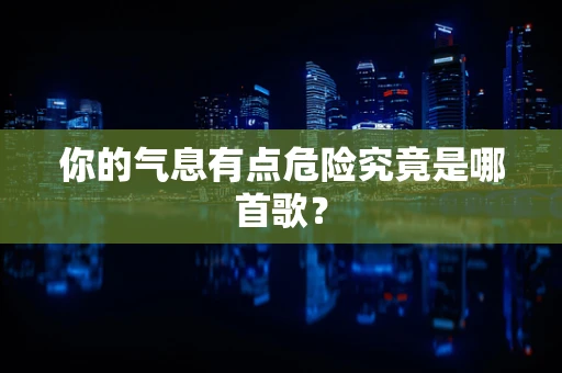 你的气息有点危险究竟是哪首歌？