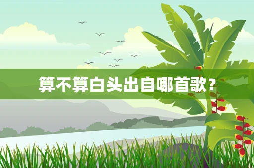 算不算白头出自哪首歌？