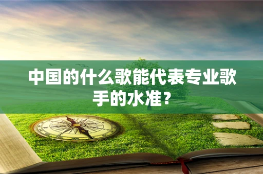中国的什么歌能代表专业歌手的水准？