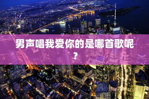 男声唱我爱你的是哪首歌呢？