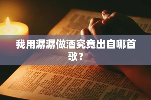 我用潺潺做酒究竟出自哪首歌？