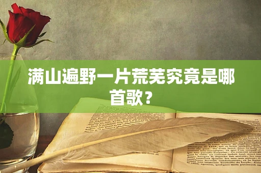 满山遍野一片荒芜究竟是哪首歌？