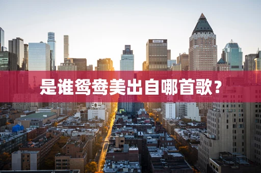 是谁鸳鸯美出自哪首歌？