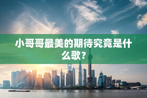小哥哥最美的期待究竟是什么歌？
