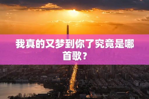 我真的又梦到你了究竟是哪首歌？