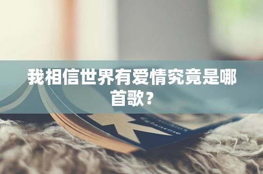 我相信世界有爱情究竟是哪首歌？