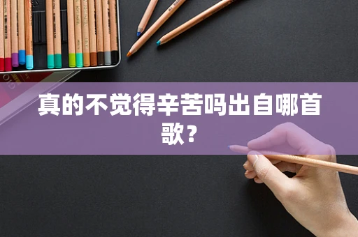 真的不觉得辛苦吗出自哪首歌？