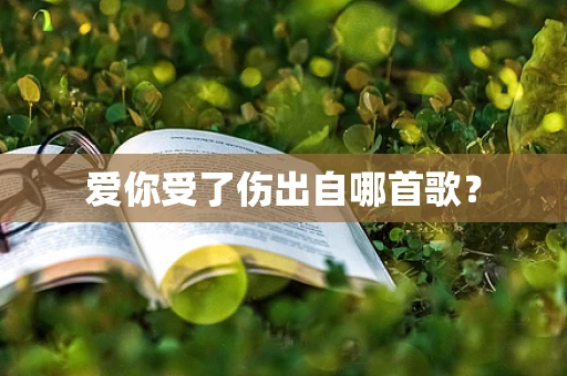 爱你受了伤出自哪首歌？