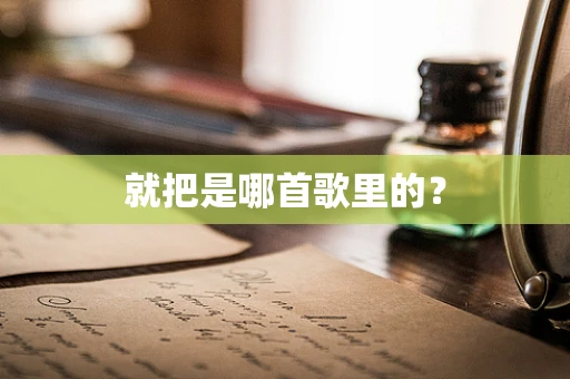 就把是哪首歌里的？