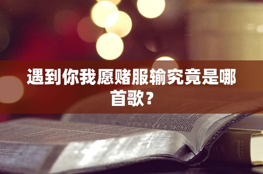 遇到你我愿赌服输究竟是哪首歌？