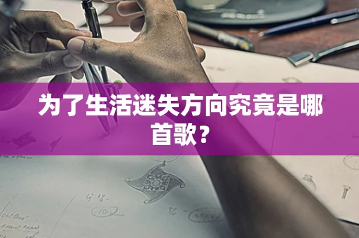 为了生活迷失方向究竟是哪首歌？