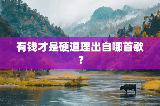 有钱才是硬道理出自哪首歌？