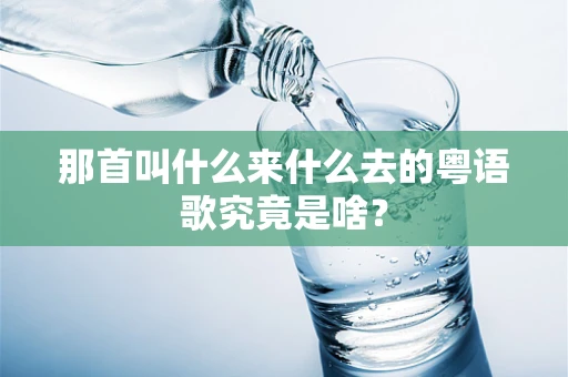 那首叫什么来什么去的粤语歌究竟是啥？