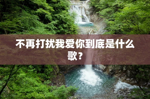不再打扰我爱你到底是什么歌？